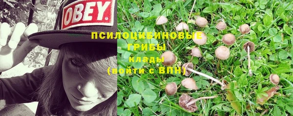 герыч Володарск