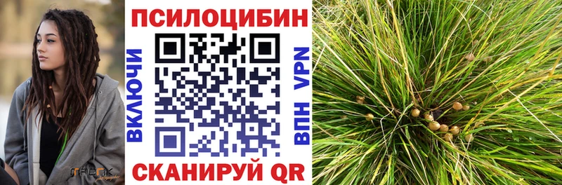 Псилоцибиновые грибы мухоморы  купить наркотики сайты  площадка наркотические препараты  Ува 